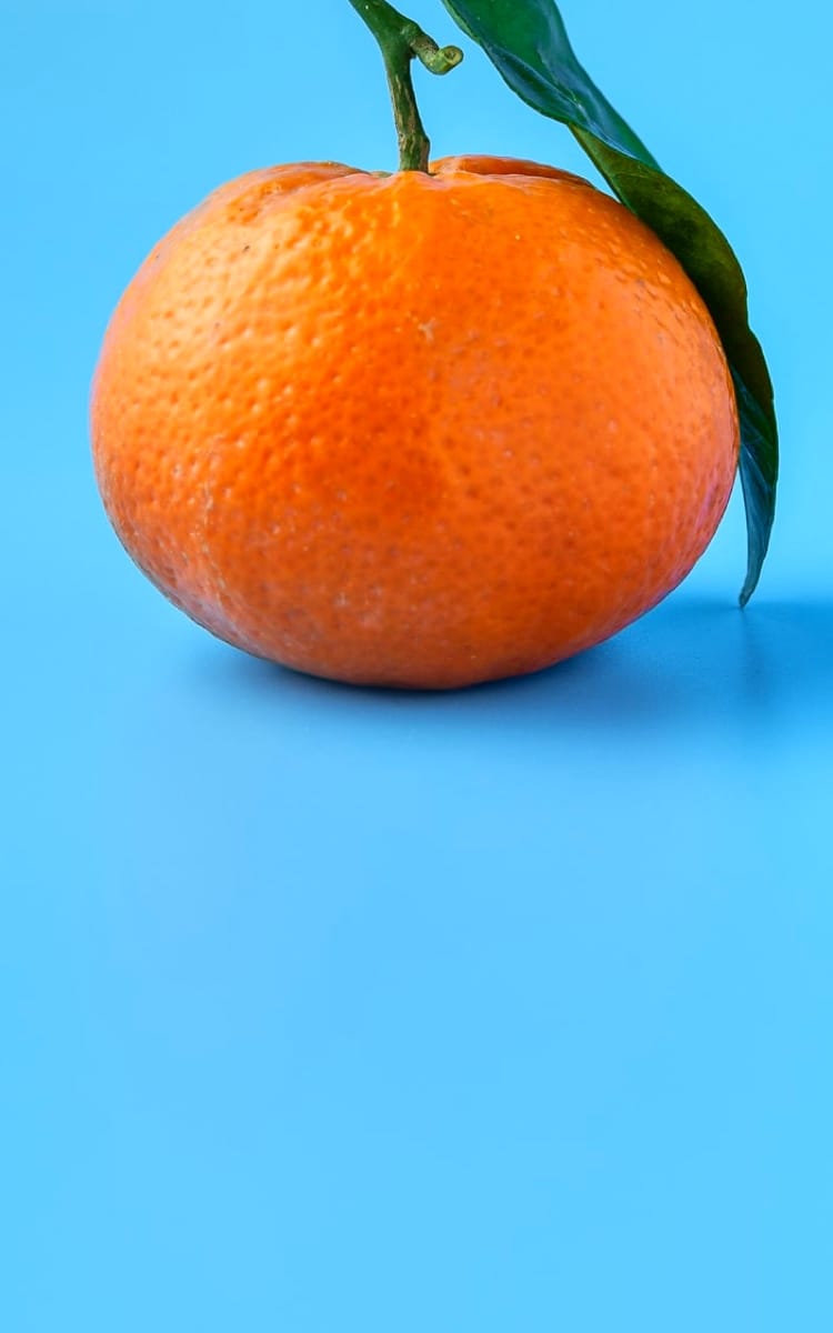 Egg in a yellow background